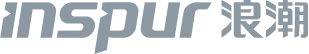 inspur
